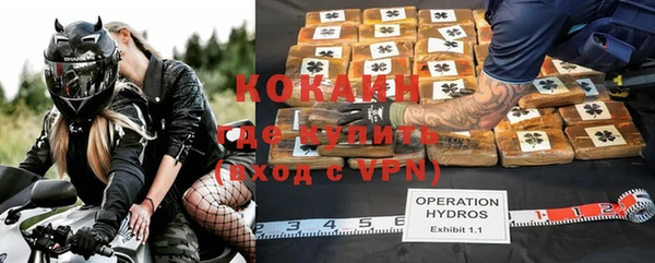гашик Новокубанск
