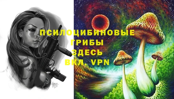дмт Нягань