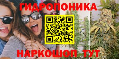 винт Кандалакша